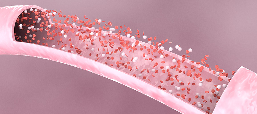 Artist rendering of blood cells in a blood vessel