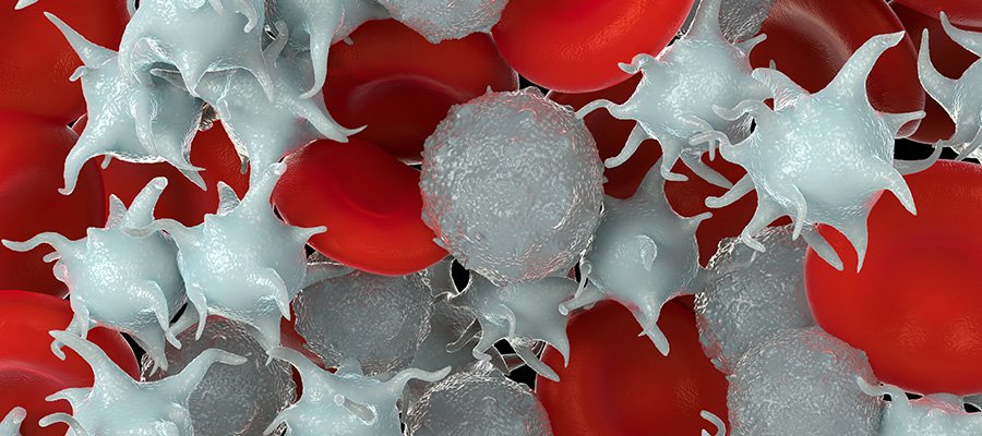The Hottest Trends 2022: Platelet Rich Fibrin, Part II